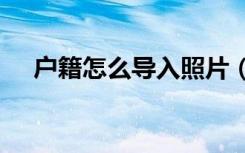 户籍怎么导入照片（huji怎么导入照片）