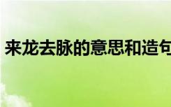 来龙去脉的意思和造句（来龙去脉怎么造句）