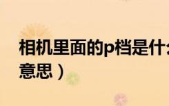 相机里面的p档是什么意思（相机p档是什么意思）