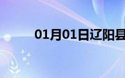 01月01日辽阳县24小时天气预报