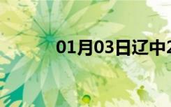 01月03日辽中24小时天气预报