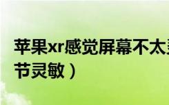 苹果xr感觉屏幕不太灵敏（苹果xr手机屏幕调节灵敏）