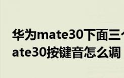 华为mate30下面三个按键怎么设置（华为mate30按键音怎么调）