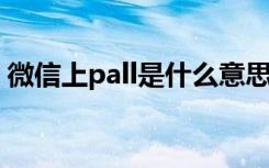 微信上pall是什么意思（微信mull什么意思）