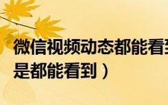 微信视频动态都能看到吗（微信视频动态是不是都能看到）