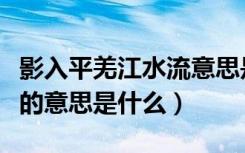 影入平羌江水流意思是什么（影入平羌江水流的意思是什么）