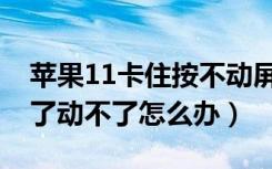 苹果11卡住按不动屏幕咋回事（苹果11卡住了动不了怎么办）