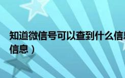 知道微信号可以查到什么信息（知道微信号可以查出来什么信息）