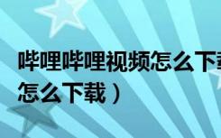 哔哩哔哩视频怎么下载到图库（哔哩哔哩视频怎么下载）