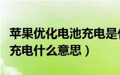 苹果优化电池充电是什么意思（苹果优化电池充电什么意思）