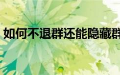 如何不退群还能隐藏群（微信不退群又隐藏）