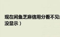 现在闲鱼芝麻信用分看不见多少了（为什么闲鱼芝麻信用分没显示）