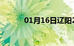 01月16日辽阳24小时天气预报