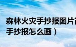 森林火灾手抄报图片简单又漂亮（防森林火灾手抄报怎么画）