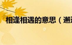 相逢相遇的意思（邂逅相逢的意思是什么）