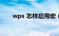 wps 怎样启用宏（wps怎么打开宏）