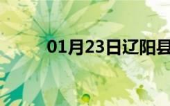 01月23日辽阳县24小时天气预报
