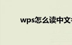 wps怎么读中文名（wps怎么读）