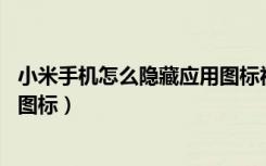 小米手机怎么隐藏应用图标视频（ 小米手机怎么自定义应用图标）