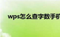 wps怎么查字数手机（wps怎么查字数）