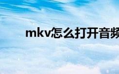 mkv怎么打开音频（mkv怎么打开）