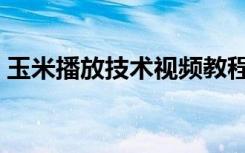 玉米播放技术视频教程（玉米视频安装方法）