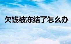 欠钱被冻结了怎么办（qq被冻结了怎么办）