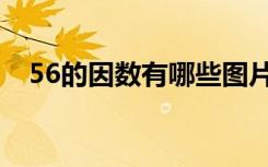 56的因数有哪些图片（56的因数有哪些）