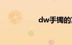 dw手镯的寓意是什么