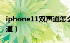 iphone11双声道怎么开（苹果11怎么开双声道）