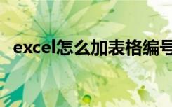 excel怎么加表格编号（excel怎么加表格）