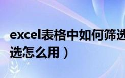 excel表格中如何筛选重名（excel表格里的筛选怎么用）