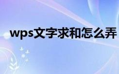 wps文字求和怎么弄（wps文字怎么求和）
