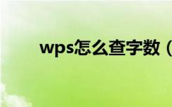 wps怎么查字数（wps怎么查字数）