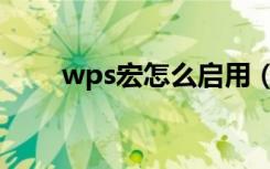 wps宏怎么启用（wps宏怎么启用）