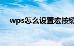 wps怎么设置宏按键（wps怎么设置宏）