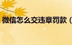 微信怎么交违章罚款（微信怎么交违章罚款）
