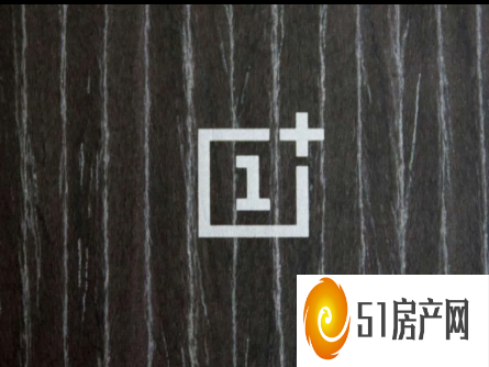 OnePlus 10 不会有常规的变体