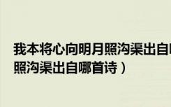 我本将心向明月照沟渠出自哪里（我本将心向明月奈何明月照沟渠出自哪首诗）