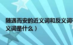 随遇而安的近义词和反义词有哪些（随遇而安的近义词和反义词是什么）