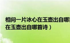 相问一片冰心在玉壶出自哪首诗（洛阳亲友如相问一片冰心在玉壶出自哪首诗）