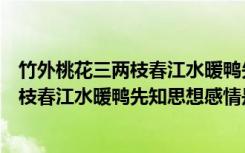 竹外桃花三两枝春江水暖鸭先知蕴含的哲理（竹外桃花三两枝春江水暖鸭先知思想感情是什么）