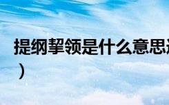 提纲挈领是什么意思造句（提纲挈领怎么造句）