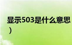 显示503是什么意思（操作失败503什么意思）