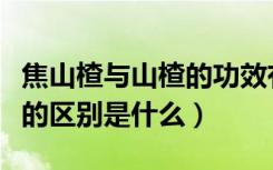 焦山楂与山楂的功效有区别吗（焦山楂和山楂的区别是什么）