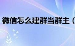 微信怎么建群当群主（手机微信在哪里建群）