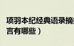 项羽本纪经典语录摘抄（《项羽本纪》中的名言有哪些）