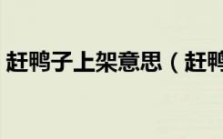 赶鸭子上架意思（赶鸭子上架的意思是什么）