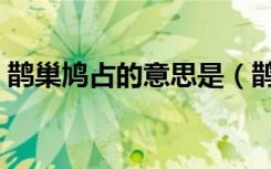 鹊巢鸠占的意思是（鹊巢鸠占的意思是什么）