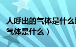 人呼出的气体是什么增多什么减少（人呼出的气体是什么）
